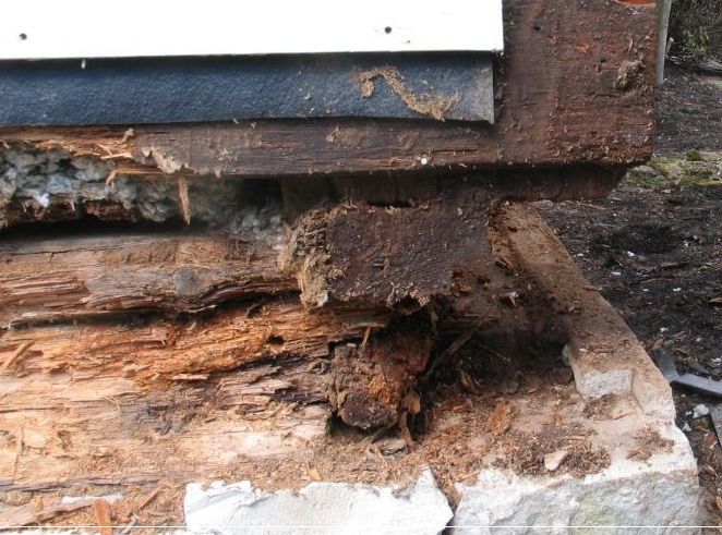 Sill and Floor Joist Replacement in Humble, TX